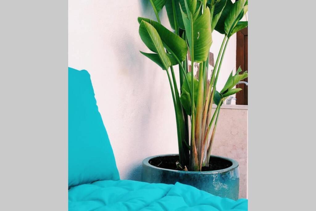 Estrela 21- With Private Pool * Lisbon